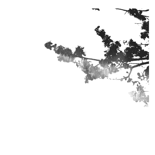 Untitled design_clipped_rev_1.png
